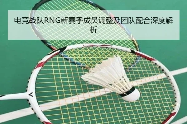 电竞战队RNG新赛季成员调整及团队配合深度解析（BWIN SPORTS）